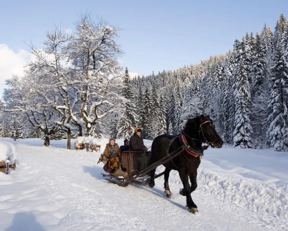 What Are Winter Holidays?